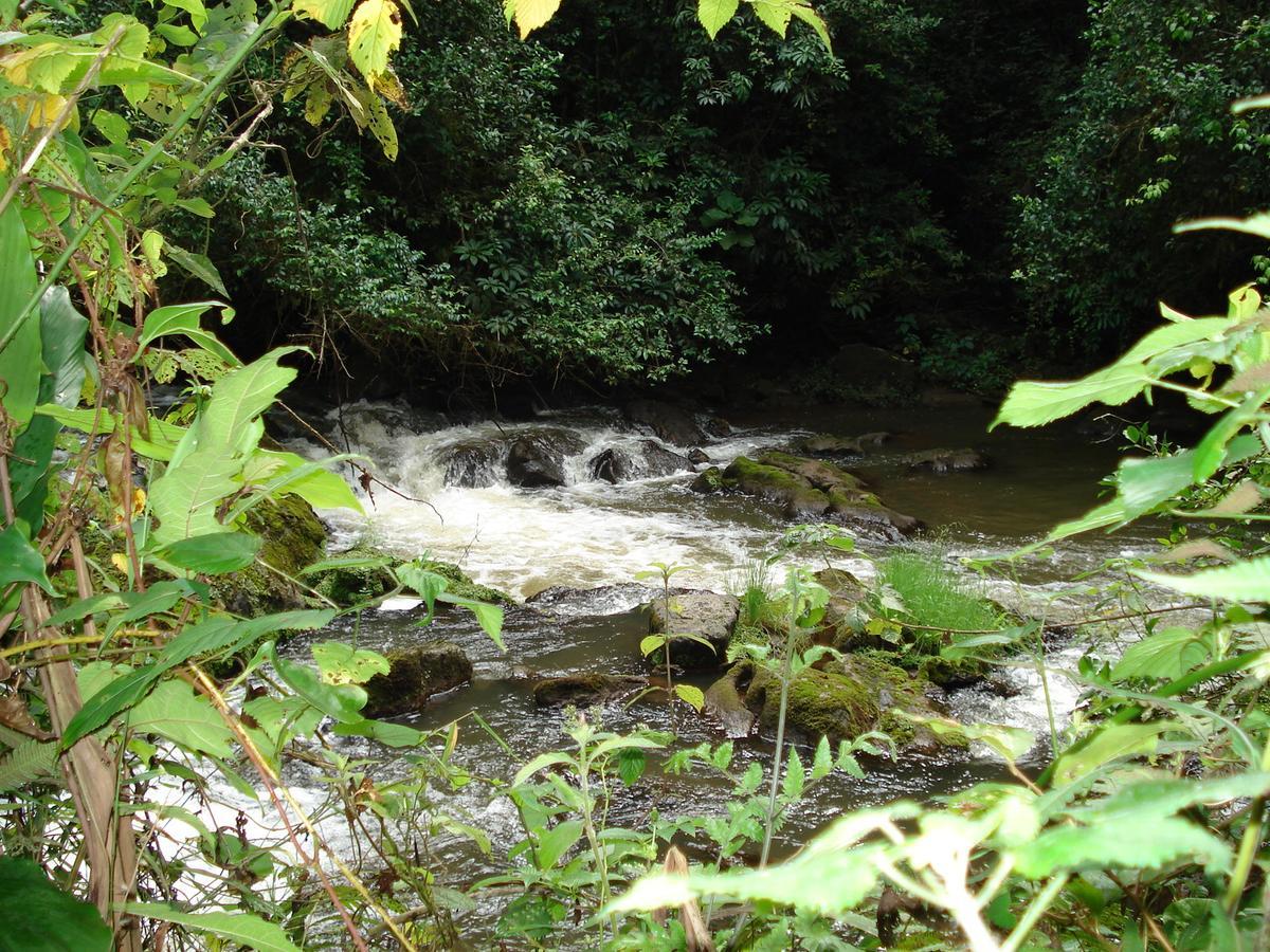 Koi Koi, Fort Portal Kasusu Екстериор снимка