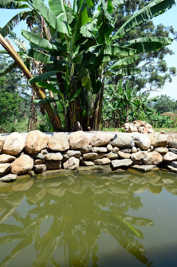 Koi Koi, Fort Portal Kasusu Екстериор снимка